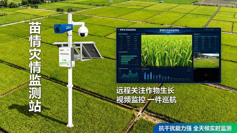 智慧农业引领未来：物联网技术为三农注入活力