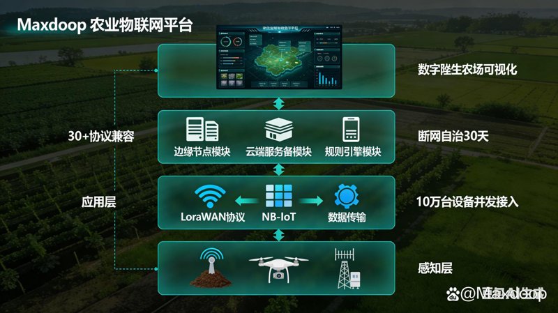 智慧农业：现代农业的未来发展方向